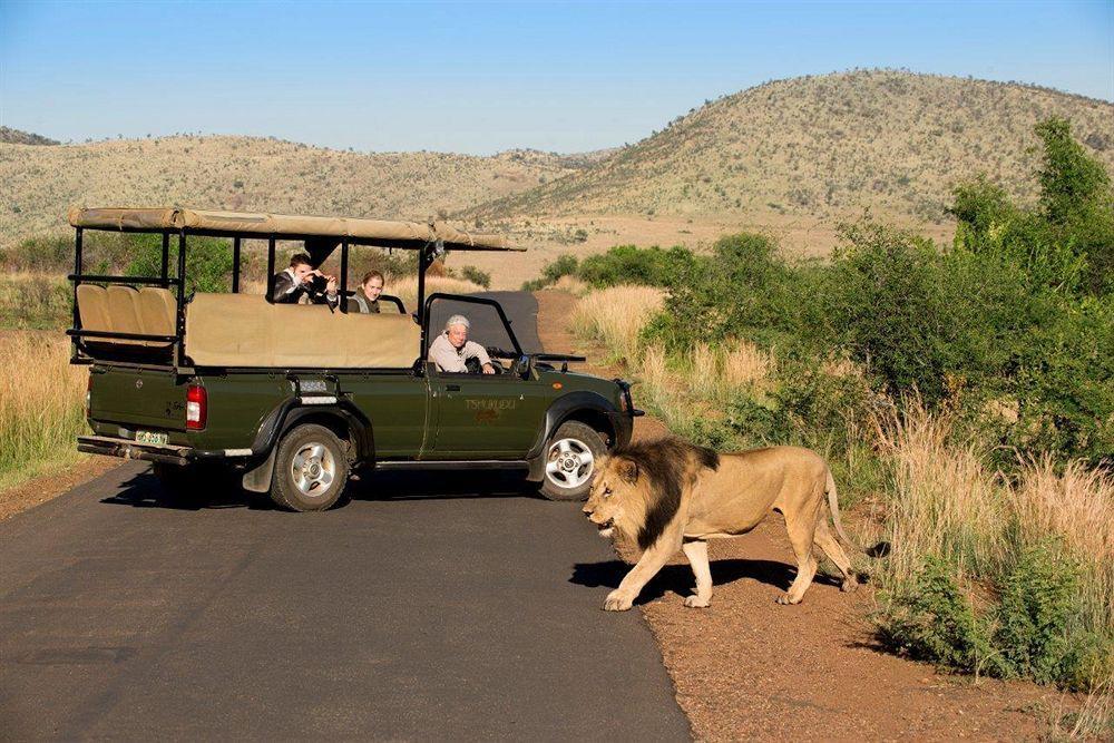 Tshukudu Bush Lodge Ledig Zewnętrze zdjęcie