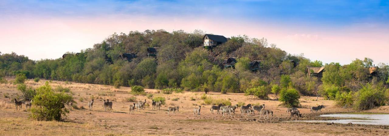 Tshukudu Bush Lodge Ledig Zewnętrze zdjęcie