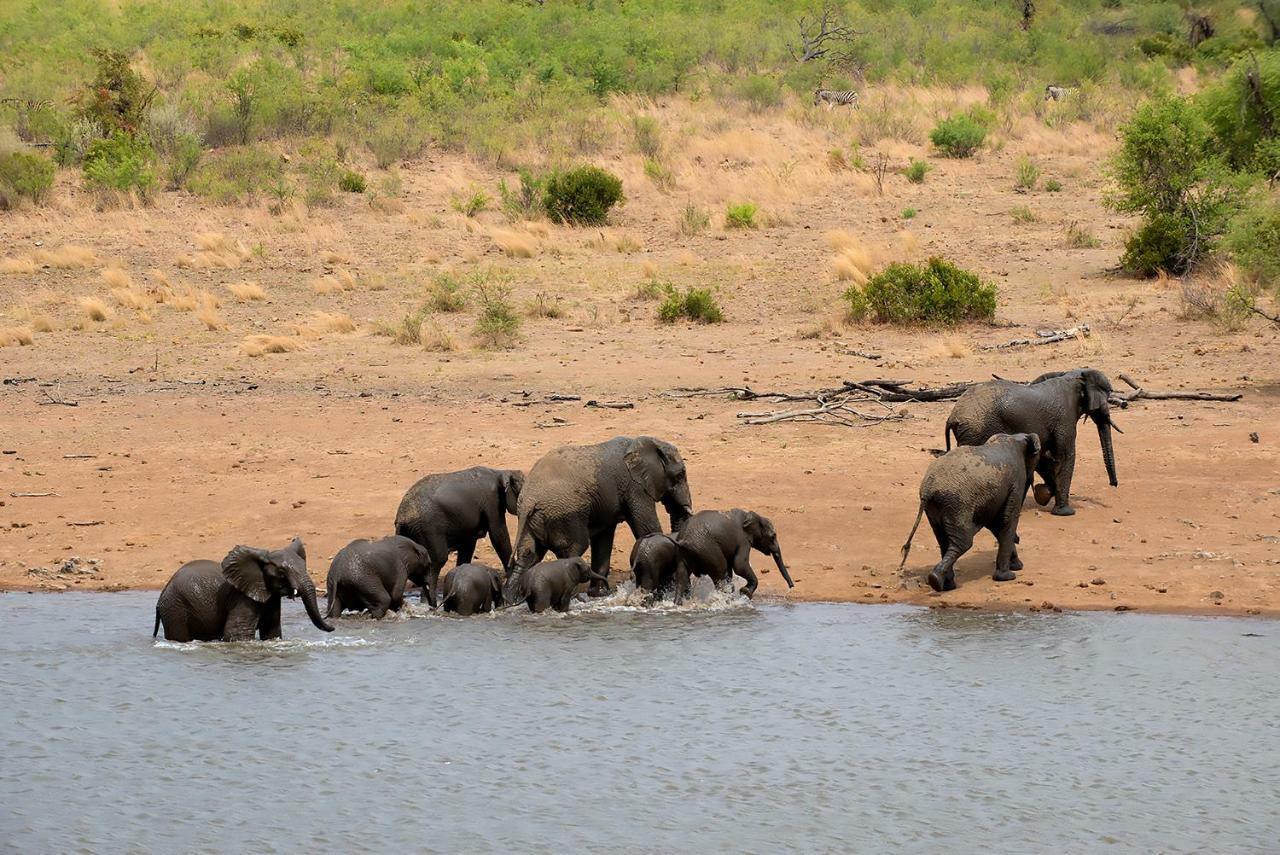 Tshukudu Bush Lodge Ledig Zewnętrze zdjęcie
