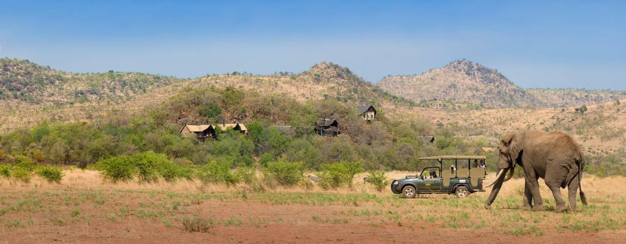 Tshukudu Bush Lodge Ledig Zewnętrze zdjęcie