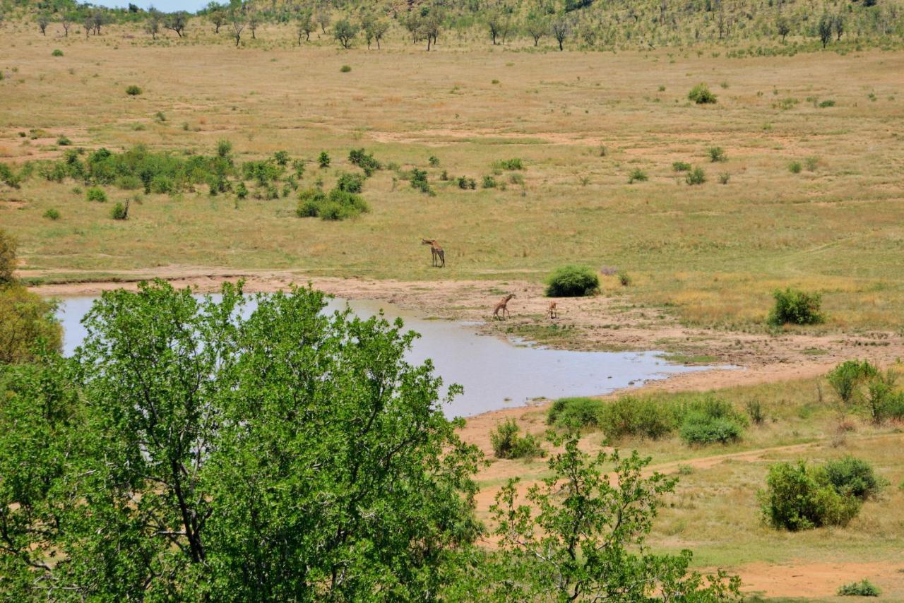 Tshukudu Bush Lodge Ledig Zewnętrze zdjęcie